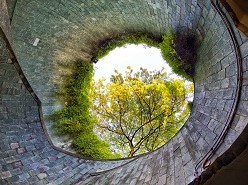 ESG-ey-olhando-para-cima-dentro-do-tunel-do-parque-fort-canning.jpg