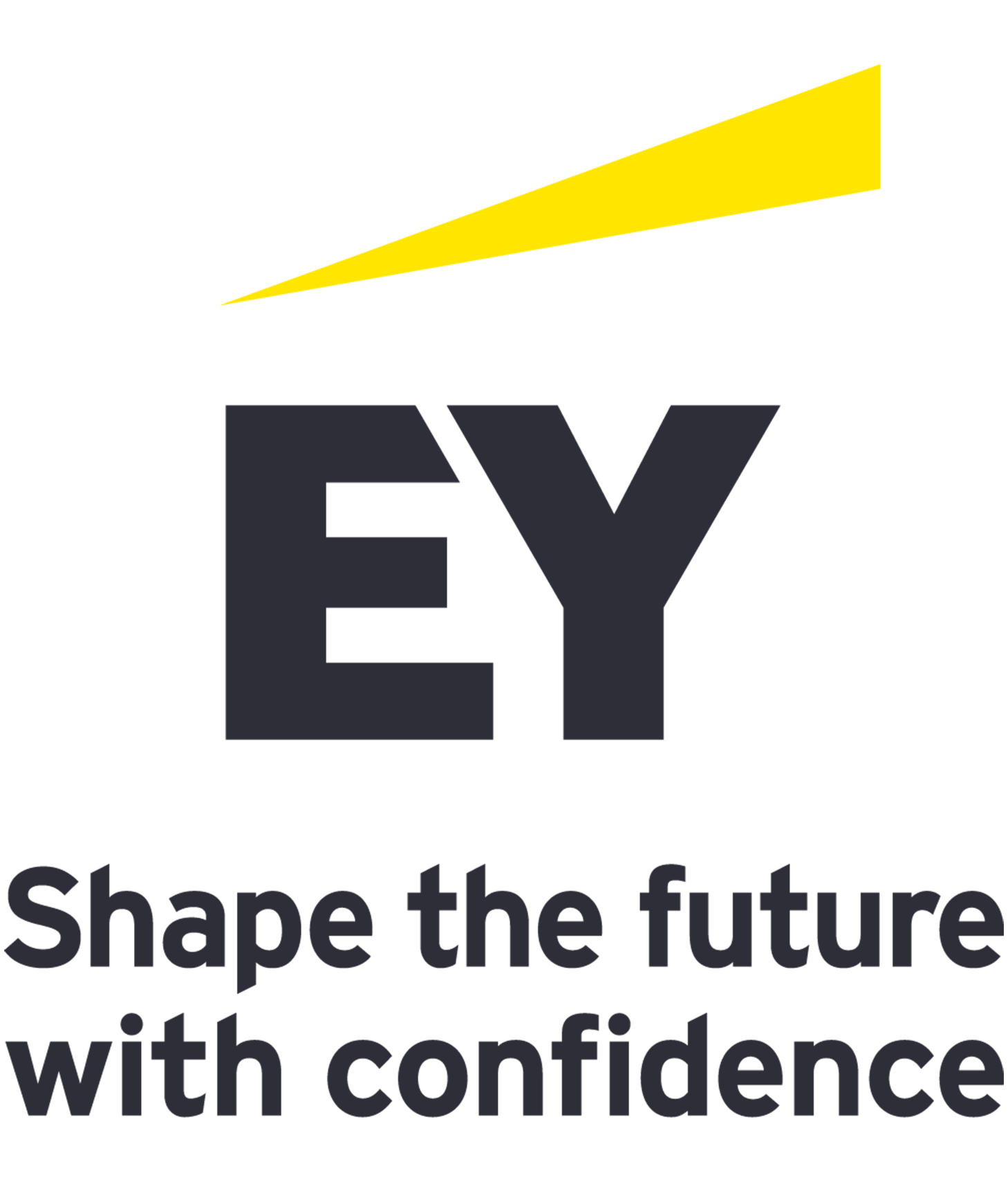 Ernst Young Ernst Young