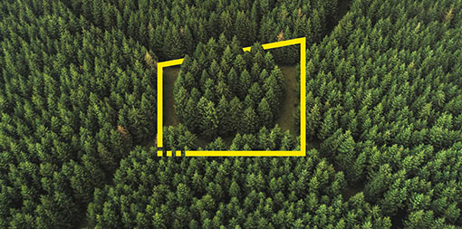 ey-aerial-perspective-of-an-unusual-forest-area