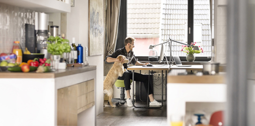 ey-man-with-dog-working-at-desk-at-home