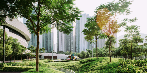 Trees-growing-at-park-by-buildings-in-city
